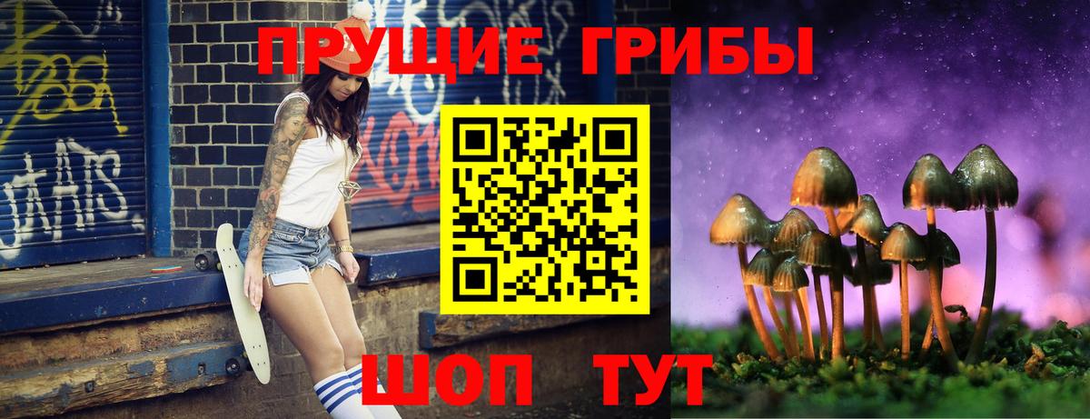 наркотики  Вход с VPN  Алексин  Псилоцибиновые грибы мухоморы 