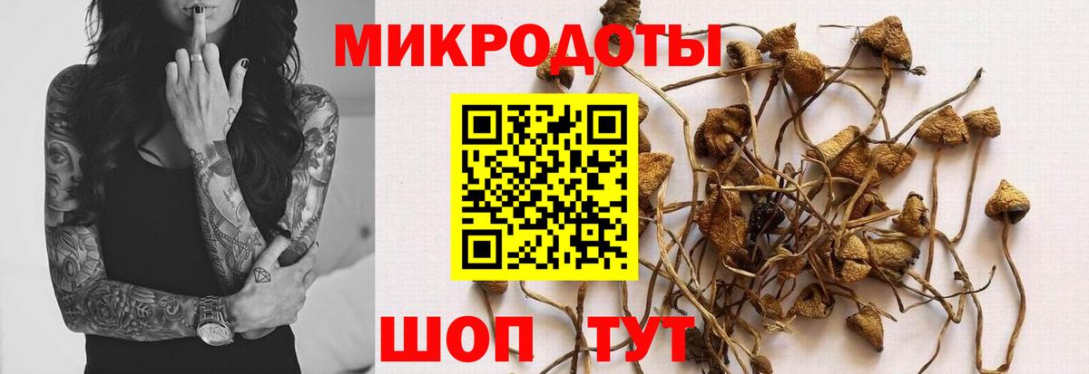 Галлюциногенные грибы мицелий Алексин